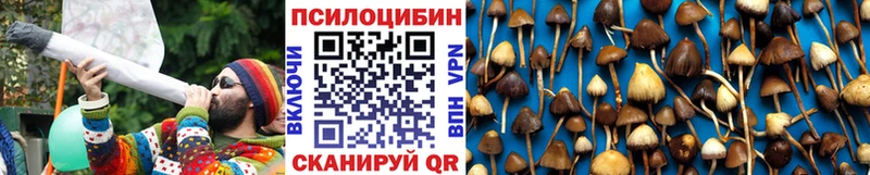 магазин    Абакан  Псилоцибиновые грибы Psilocybe 