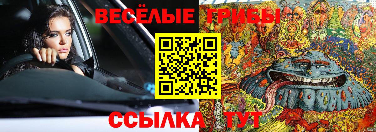 что такое наркотик  Вход с VPN  Галлюциногенные грибы Psilocybine cubensis  Абакан  Псилоцибиновые грибы GOLDEN TEACHER 