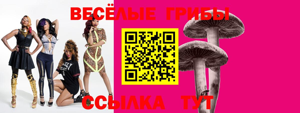 Псилоцибиновые грибы ЛСД  где купить наркоту  Псилоцибиновые грибы Cubensis  Абакан 