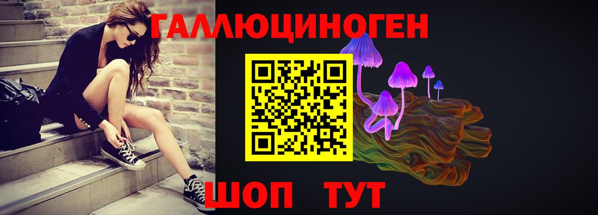 Галлюциногенные грибы GOLDEN TEACHER Абакан